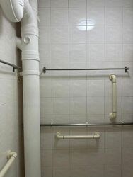Blk 100 Toa Payoh Palm Spring (Toa Payoh), HDB 3 Rooms #593709741